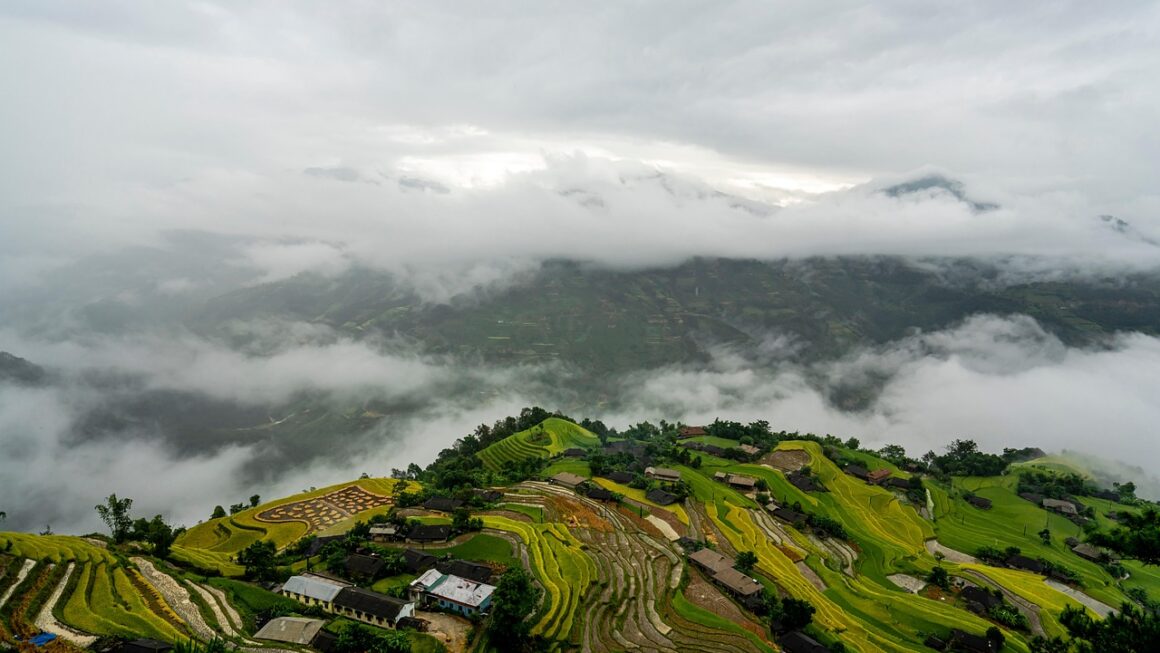 Step-by-Step Guide to Effectively Manage Your Personal Finances